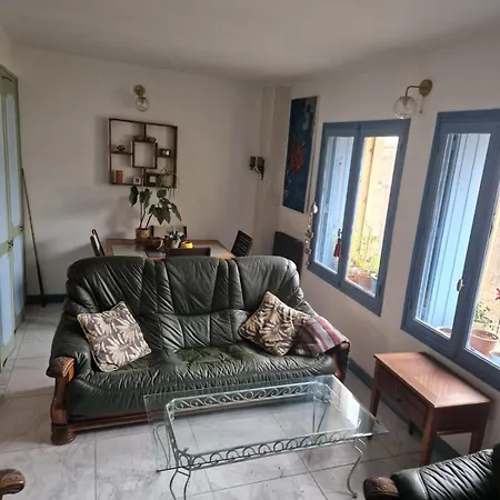 Maison Avec Grande Terrasse